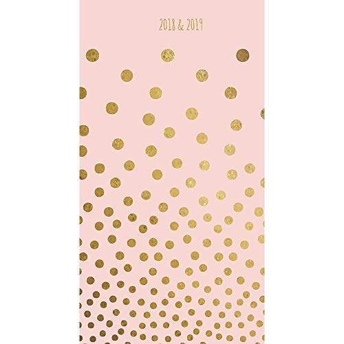 TF Publishing 2018-2019 2-Year Pocket Calendar Planner Pink with Gold Dots (18-7197)