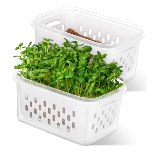 ibasenice 2 Pièces Lot de Pots de Germination Transparent Drainage Conteneurs pour Semis Cultures Sol pour Plantes Fleurs