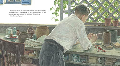 A Rose Named Peace: How Francis Meilland Created a Flower of Hope for a World at War - Image 3