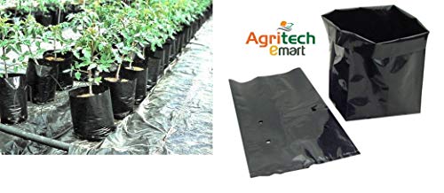 Image of Agritech Black Nursery Cover /Plant Grow Bag - 200 Nos (13x14, 200)