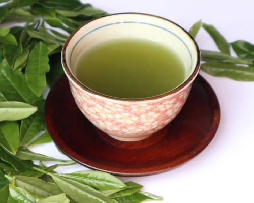 お茶の丸幸 静岡茶 深むし緑茶ティバッグ