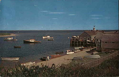 Chatham Fish Pier, Cape Cod Chatham, Massachusetts MA Original Vintage Postcard