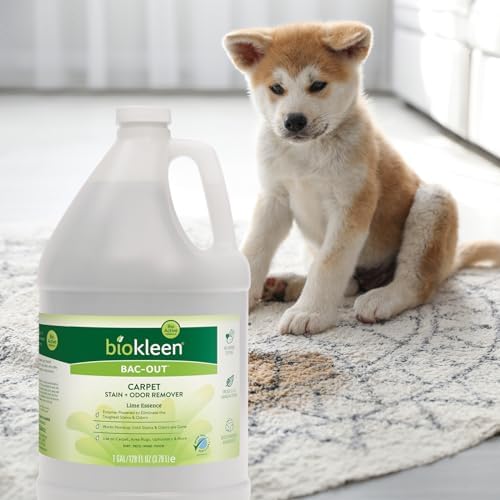Biokleen Bac Out Enzyme Cleaner, Stain & Pet Odor Eliminator, Lime Scent - 5