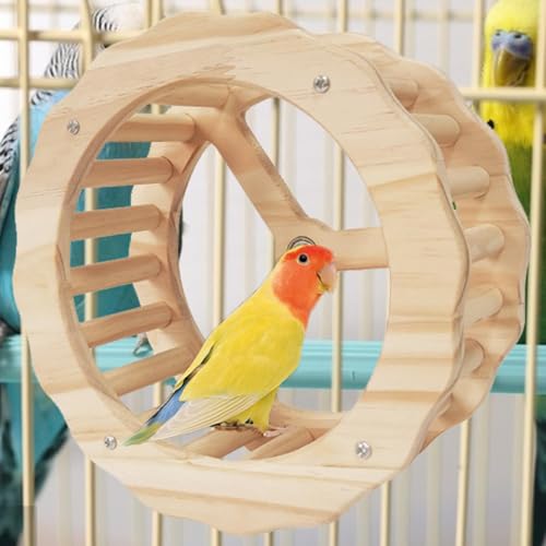 Accessoires de cage pour perroquet avec roue d'exercice
