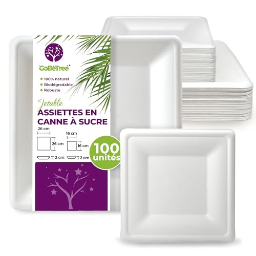 100 assiettes jetables carrées en forme de canne à sucre. 50 plaques de 26 cm et 50 plaques de 16 cm. Assiettes jetables extra solides, pour le camping, les...