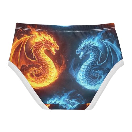 Dragons Fire Ice Underwear Toddler Girl, Kids Underwear, 2T–8 Years2