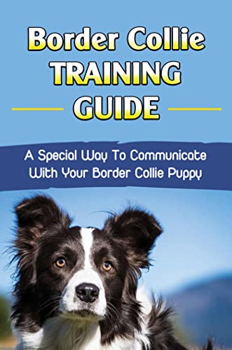 Border Collie Training.pdf How Do You Train A Border Collie To Come