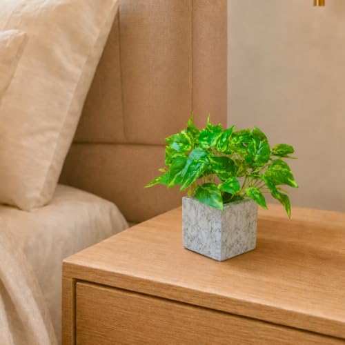 Image of fancymart Artificial Plant with Real-Touch Leaves in Pot, 25 cm, Indoor Tabletop Item for Home Decor, Office, Living Room