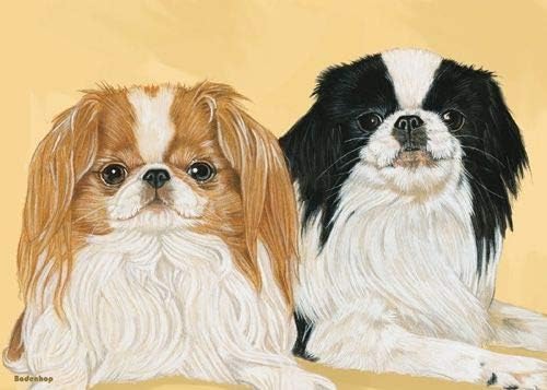 Animal Theme Gifts, Japanese Chin Blank Note Card