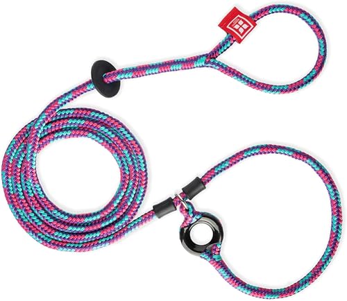 Harness Lead No Pull Dog Harness and Leash Set, Anti Pull Dog Harness, One-Piece Cushioned Rope Safely Prevents Escaping and Pulling *New Insert is Removable (Medium/Large, Reef)