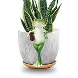 HPMAISON Miniature Frog Figurines Plant Decorations for Pots Resin Garden Frog Statue Cute Planter Hugger for Pot Fish Tank Mini Outdoor Yard Patio Fairy Garden Statue Desk Ornament 2.4X 5.1x1.6 in