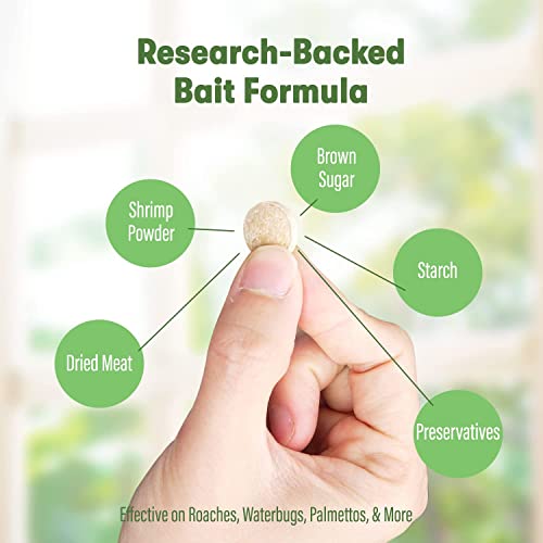 Bugmd Cockroach Catcher (12 Pack) - Roach Trap, Cockroach Killer, Indoor Home Sticky Glue Insect Traps #TOP2