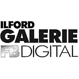 ILFORD Galerie 1165405 Photo Paper - 50