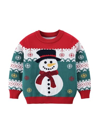 Danny D Boys & Girls Cartoon Christmas Sweater Casual Crewneck Winter Long Sleeve Pullover Tops