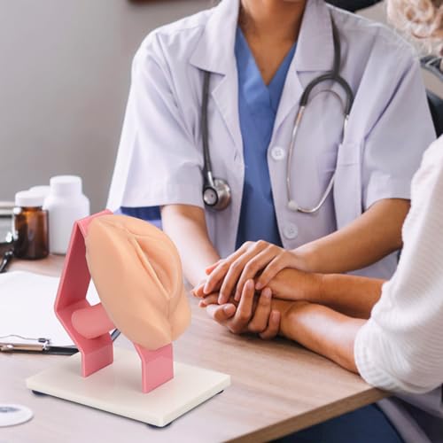 Mededuquest MEQ07008 Pelvic Health Model, Vaginal Training Model For Science Education, Gynecological Examination Anatomical Model thumb #4