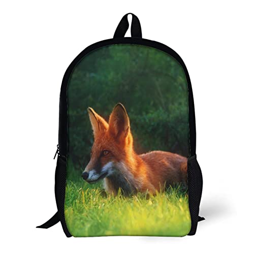 Sac à dos scolaire enfants Fox Classic 17 pouces imprimé 3D - 5