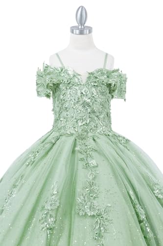 Applique Flower Girl Dresses Sequins Off Shoulder Formal Ball Gowns Tulle Pageant Party Dress for Girls4