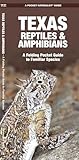 Texas Reptiles & Amphibians (Nature Observation North America)