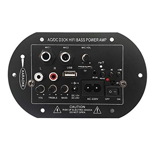 LEXIANG Placa de Amplificador de Potencia para el hogar 12V 24V 220V Bluetooth Reproductor de Radio FM AC/DC D3OK HiFi Bass Power AMP Soporte SD/TF USB Cover