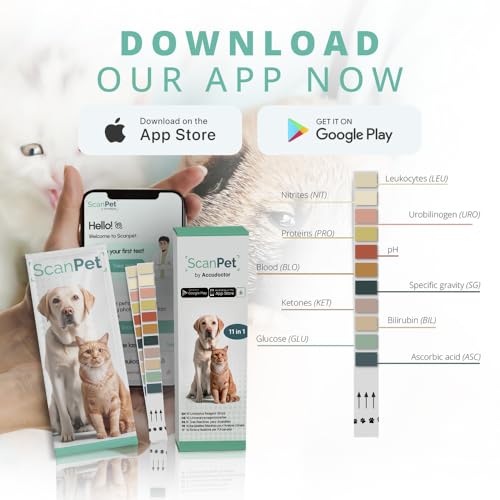 (10 Urinteststreifen) SCANPET APP Urinteststreifen für Hunde und Katz 11 Parameter Teststreifen Glukose pH Wert Keton Teststreifen für Harnwegsinfektionen bei Hunden und Katzen Einzeln verpackt