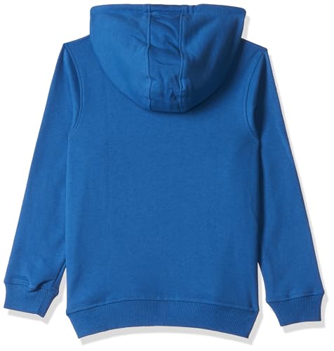 Image of Frozen Solid Sweatshirt with Hood - Royal Blue (DFZNSW0028.10 4-5Y)