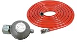Rothenberger Industrial Set Gasdruckregler 300 mbar mit 3 m Niederdruckschlauch | 2 kg/h | für...