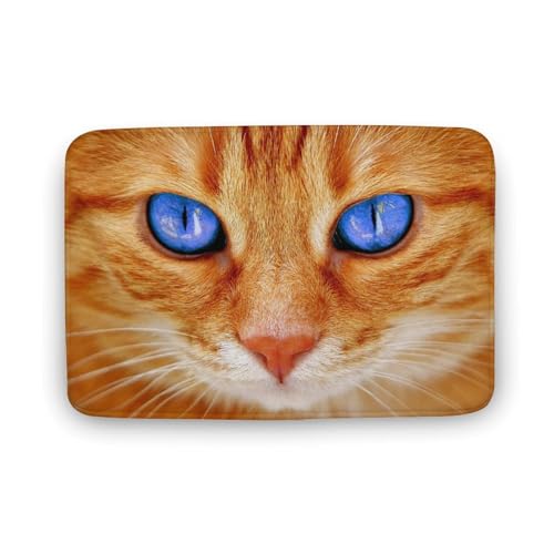 L   oX}bg   z փ}bg  O   \ ~ Aj LN^[ @}bg   ʏ