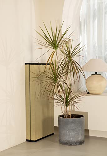 Mustmat Tatami Mat Twin Xl Japanese Tatami Floor Mattress Rush Grass Tatami Bed With Storage Bag 39 X80 X1.4 In (Black) #TOP6