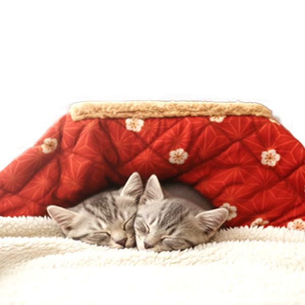 Amazon | ペット用 こたつ ねこ 猫 ネコ コタツ ワンちゃん ネコちゃん