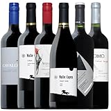 ヴィネクシオ 銘醸地 チリ 赤ワイン 6本 セット ソムリエ厳選 750ml×6 ワインセット wine