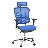 hjh OFFICE 652150 Silla de Oficina ERGOHUMAN Silla Escritorio en Malla Azul, Silla giratoria ergonómica, Reposabrazos Regulables