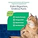 NaturVet Advanced Probiotics & Enzymes Digestion Supplement for Cats, 1.4 oz Powder