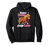 Süße Shetland Pony Outfits