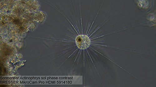 Ficha técnica Bresser MikroCam PRO HDMI cámara de microscopio - Fernando Cortés