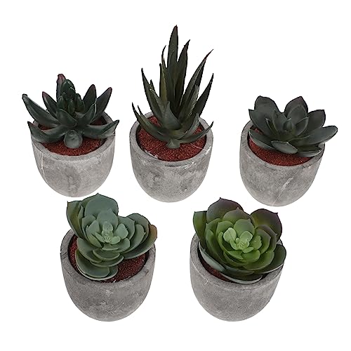 Garneck 1 Juego Bonsái De Flores Falsas Pequeñas Plantas Artificiales Eucalipto Falso Suculentas Falsas Gran Planta De Interior Planta Falsa Vegetación Falsa Mini El Plastico 5 Piezas