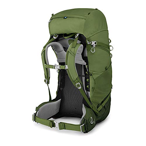 Osprey Ace 75 Kid's Backpacking Backpack, Venture Green