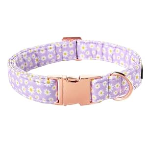 Lionet Paws Dog Collar, Comfortable Adjustable Cute Collar with Metal Buckle for Male Female Dogs, Purple Daisy, Small, Neck 10-16 inches Lionet Paws Dog Collar Comfortable Adjustable Cute Collar with Metal Buckle for Male Female Dogs Purple Daisy Small Neck 10 16 inches