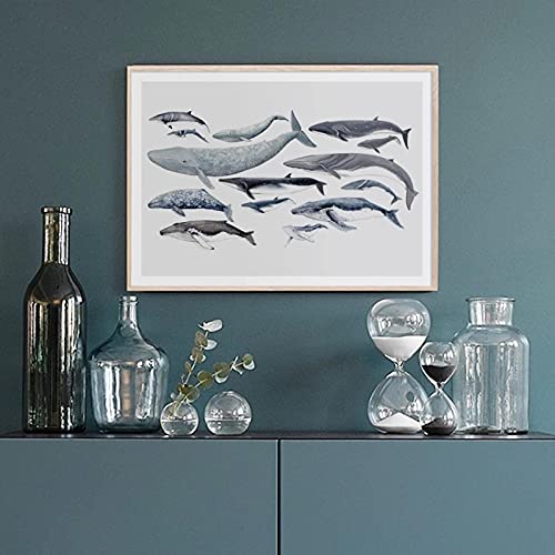 Toile affiche animal de qualité supérieure représentant un requin baleine