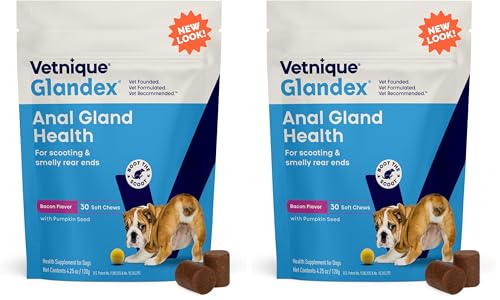 Image of Vetnique Glandex Anal Gland Soft Chew Treats with Pumpkin for Dogs Digestive Enzymes, Probiotics Fiber Supplement for Dogs Boot The Scoot (Bacon Flavor Chews, 30 Count) (Pack of 2)