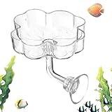 Design en acrylique transparent : Le nourrisseur pour aquarium possède un système de transparent en acrylique clair, permettant de visualiser facilement le niveau de nourriture et de contrôler la fréquence des repas pour les crevettes.