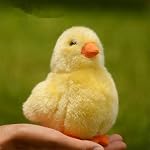 TAMMYFLYFLY Yellow Chick Stuffed Animal Chicken White 5 inches, 12cm, Plush Toy, Duck Soft Toy (Yellow Chick)