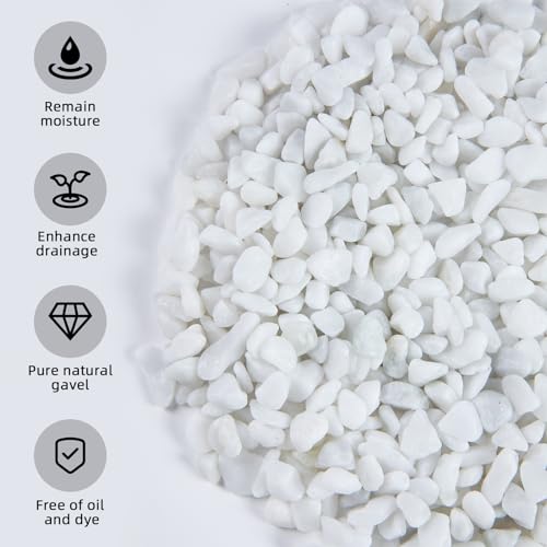Image of 5lb Polished Aquarium Silica Gravel, Decorative Pebbles Substrate for Fish Tank, Vases, All Purpose Silica Gravel for Aquarium, Fire Pits, and Landscaping, Snow White(0.16-0.24 inch)