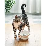 Raised Cat Food Bowl Ceramic 15° Tilted Cat Food Bowls Protect Cat's Spine Anti Vomiting Backflow Prevention Bowls for Adult Kitty, Kitten, and Small Dogs, Pink - Image 4