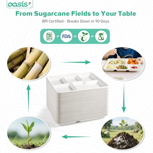 OasisSN 𝟭𝟬𝘅𝟴\", 𝟭𝟮𝟴-𝗣𝗮𝗰𝗸 5-Compartment Disposable Paper Plates, 𝗦𝗺𝗮𝗹𝗹 Compostable Heavy-Duty Disposable Divided Plates for Meal Prep, School Lunches & Party Buffets (BPI Certified) - Thumbnail 6