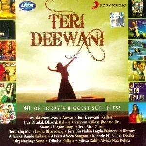 Teri Deewani: 40 of Todays Biggest Hits