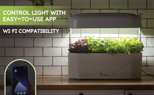 Vegepod - Kitchen Garden - Gourmet Herb And Vegetable Indoor Grow Kit, Self Watering, Led Grow Light (White) #TOP6
