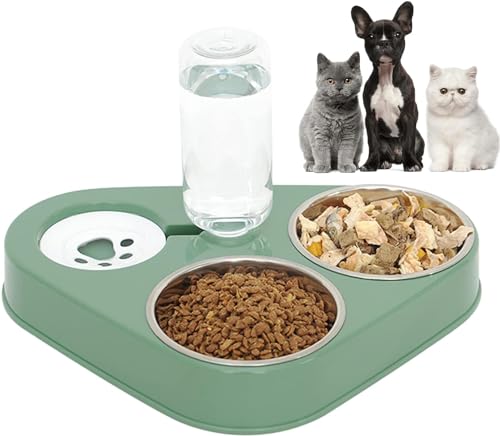 Kakbrt Ciotola per Gatti,3 in 1 Doppio Ciotole per Animali Domestici Acciaio Inossidabile,Alimentatore con Distributore Automatico di Acqua,per Gatti Cuccioli Cani di Piccola Taglia (Verde)