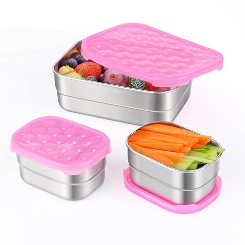 Tanjiae Small Stainless Steel Lunch Containers for Kids | Leak Proof BPA Free Snack Containers with Silicone Lids - Perfect Metal Snack Containers with Lids for School and Daycare (25oz+8oz*2)