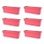 Coral 6pk