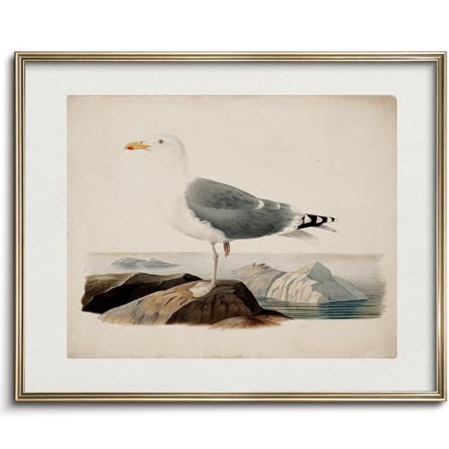 Vodefoad Vintage Seagull Print Large Seagull Nautical Bird Wall Art Coastal Print Beach House Wall Art Nautical Decor for Gallery Kitchen Living Room Bedroom (UNFRAMED 8x10in)